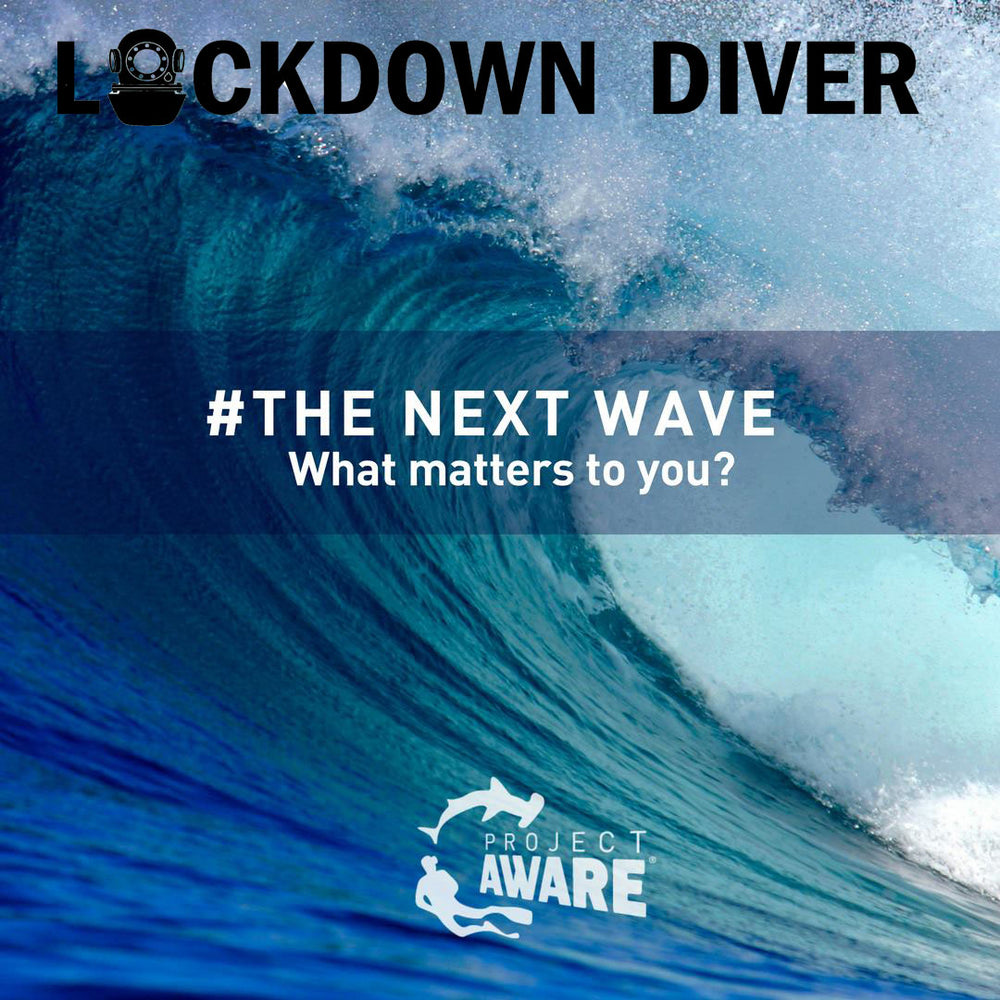 LOCKDOWN DIVER: What is Project AWARE