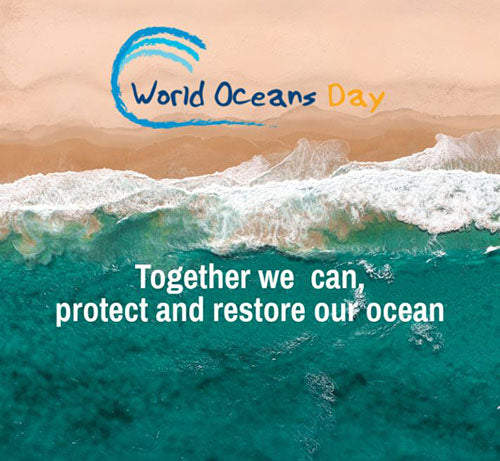 WORLD OCEAN'S DAY - Learn about our big blue.