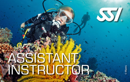 SSI Assistant Instructor eLearning