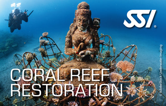 SSI Coral Reef Restoration Course