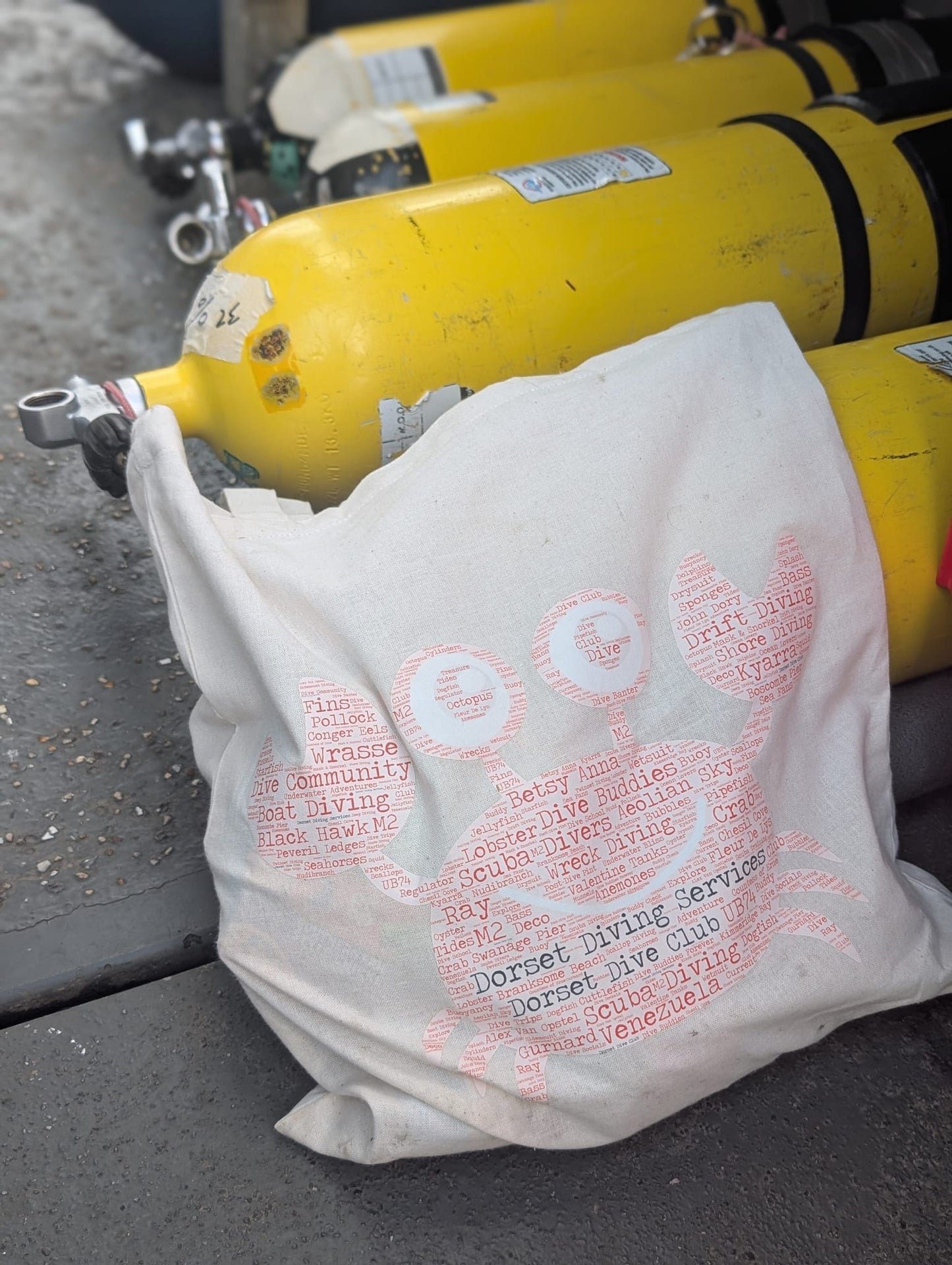 DDS Re-usable Bag