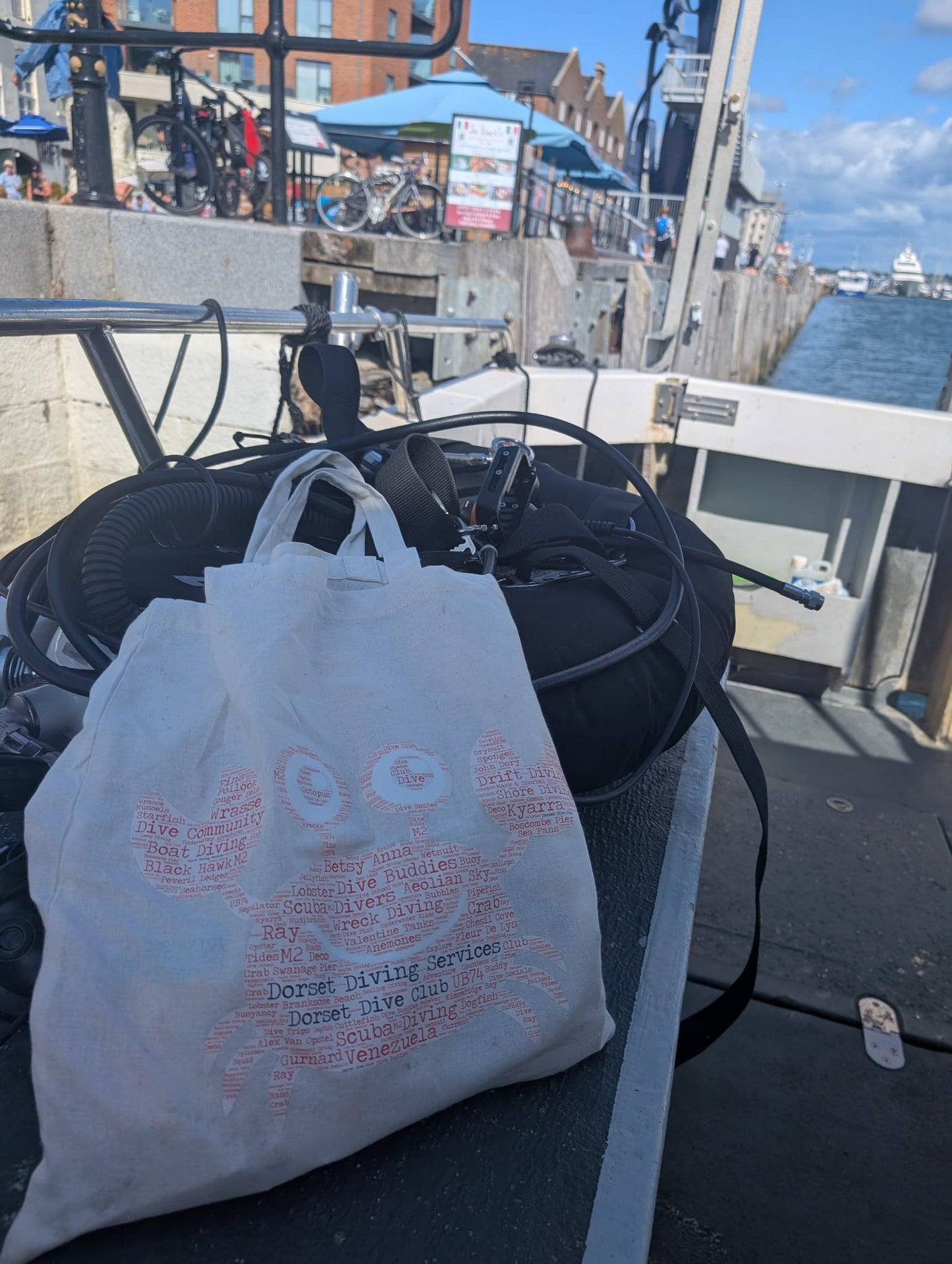 DDS Re-usable Bag