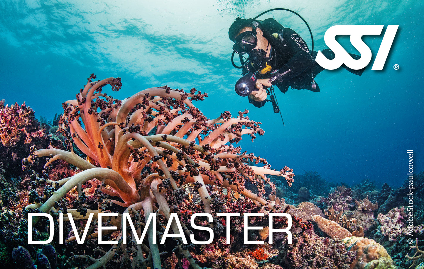 SSI Divemaster eLearning