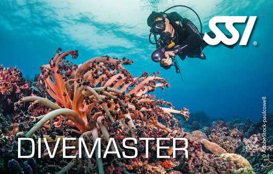 SSI Divemaster Course