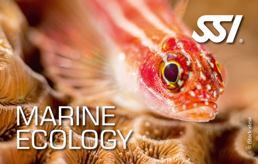 SSI Marine Ecology Online Course