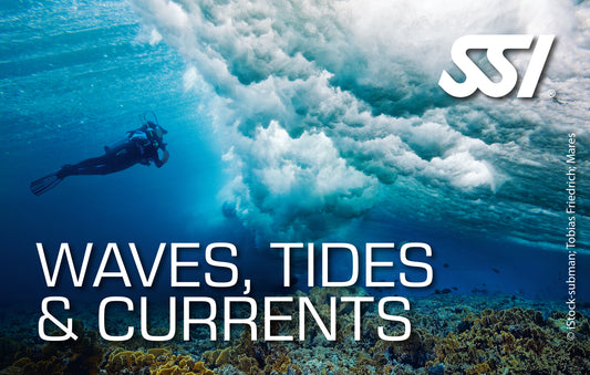 SSI Waves, Tides & Currents Course