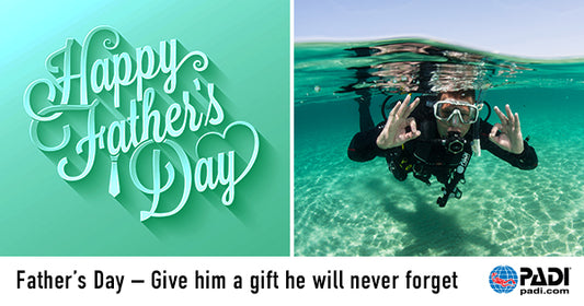 Father's Day Gift Ideas