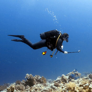 Our PADI Divemaster, Georgie: My Journey to Divemaster.