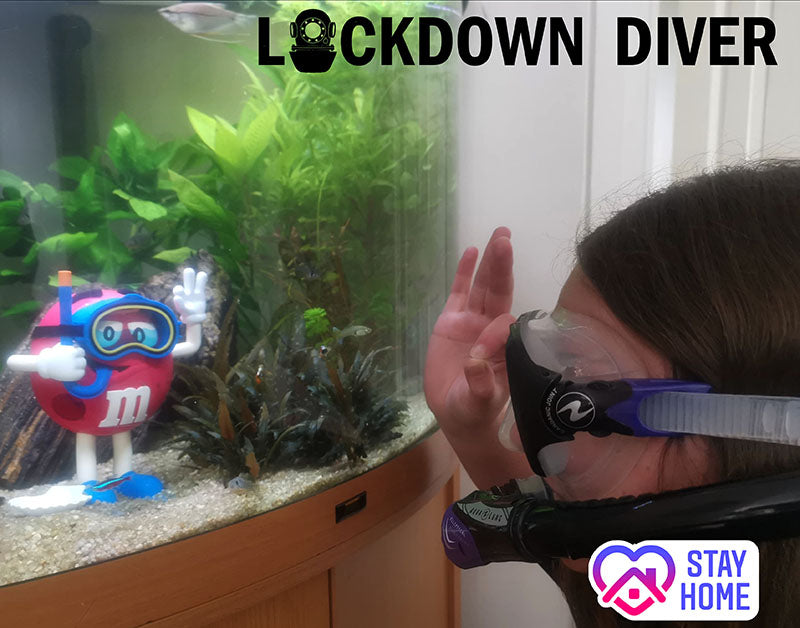 LOCKDOWN DIVER - Maintaining Your Kit, Get Dive Ready!