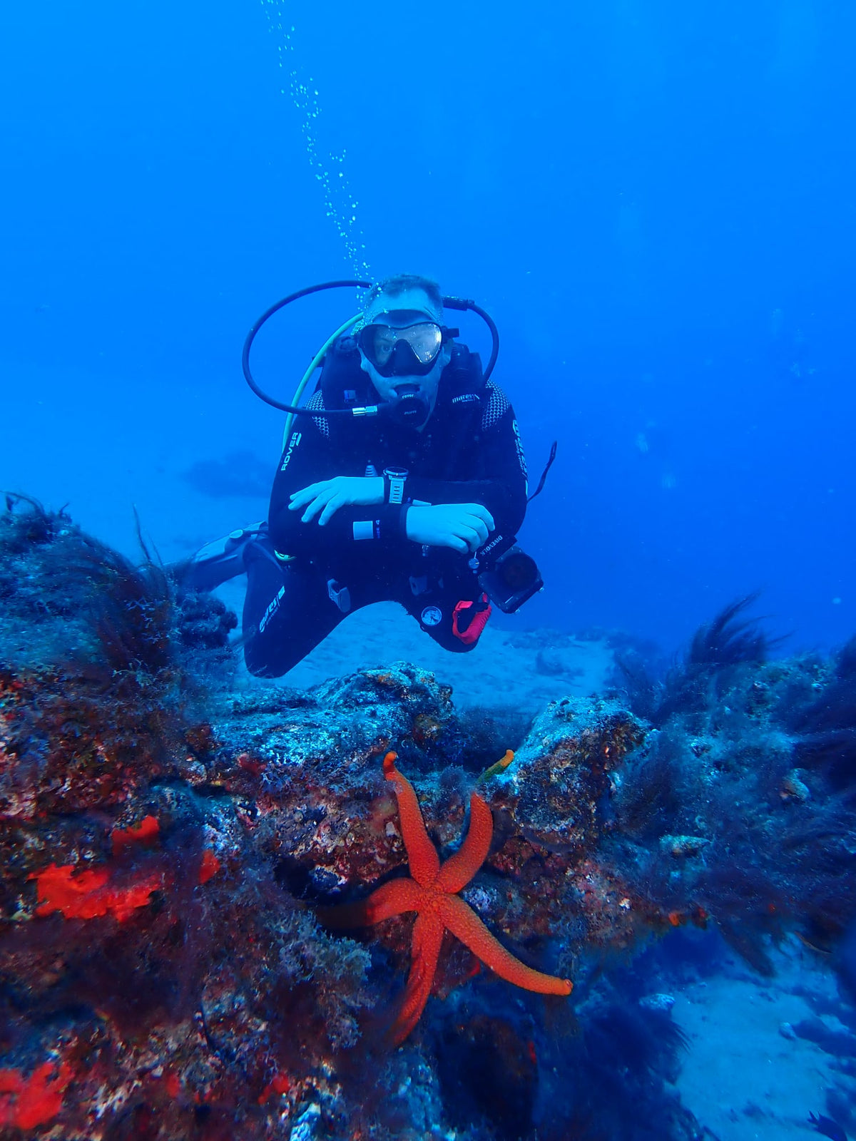 Martin Rodgers - My Dive Journey