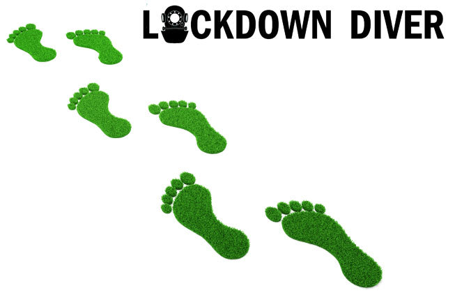 LOCKDOWN DIVER: What is your carbon footprint and how can you reduce it?
