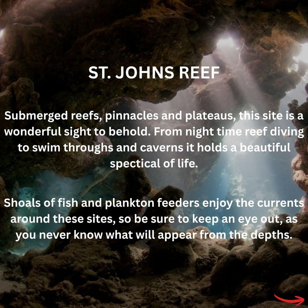 Red Sea Liveaboard - Spectacular South