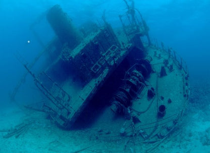 Red Sea 2025 - UMBI Sharks Bay Village