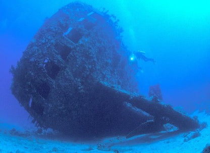 Red Sea 2025 - UMBI Sharks Bay Village