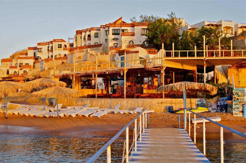 Red Sea 2025 - UMBI Sharks Bay Village