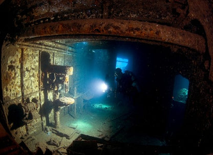 Red Sea 2025 - UMBI Sharks Bay Village