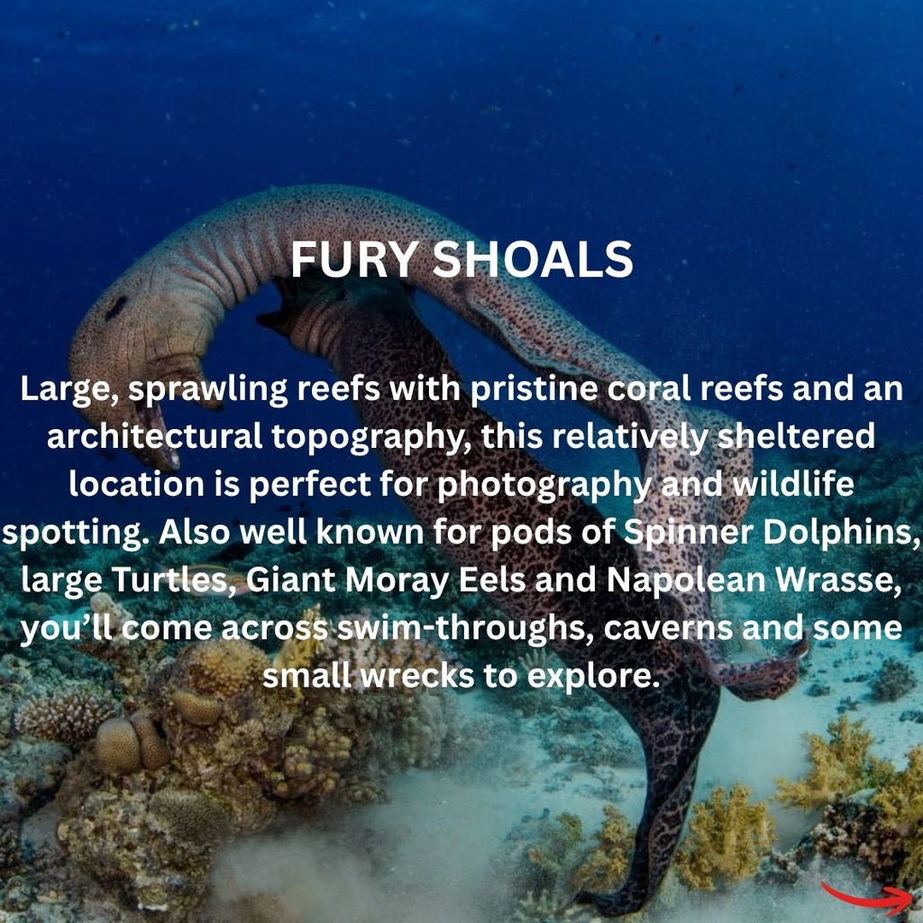 Red Sea Liveaboard - Spectacular South