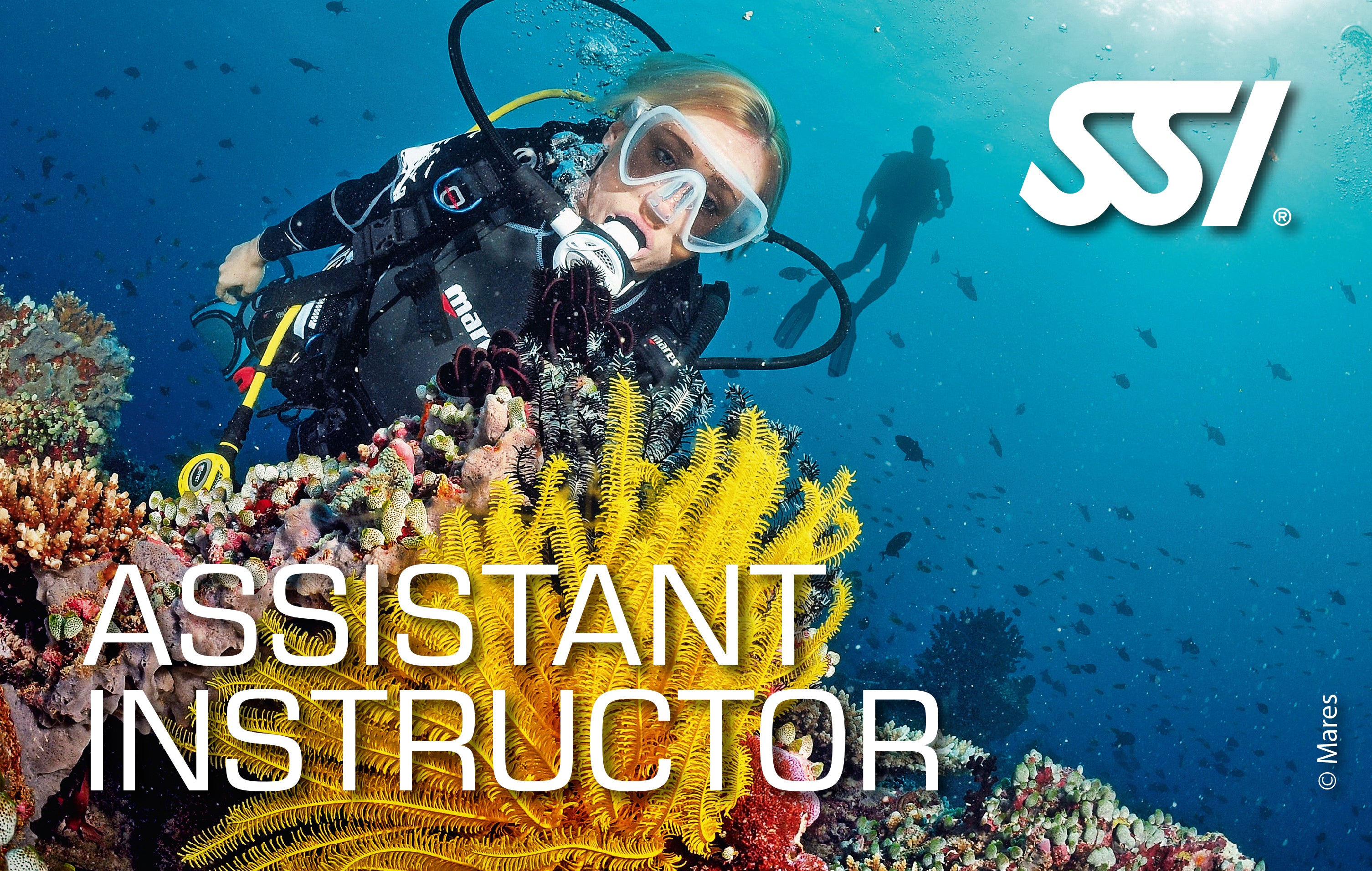 SSI Assistant Instructor eLearning