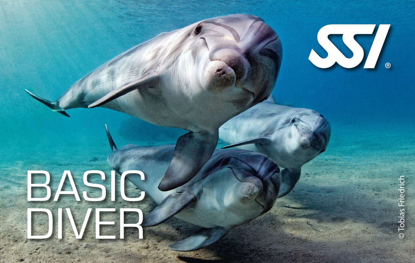 SSI Basic Diver eLearning