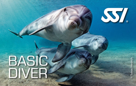 SSI Basic Diver eLearning
