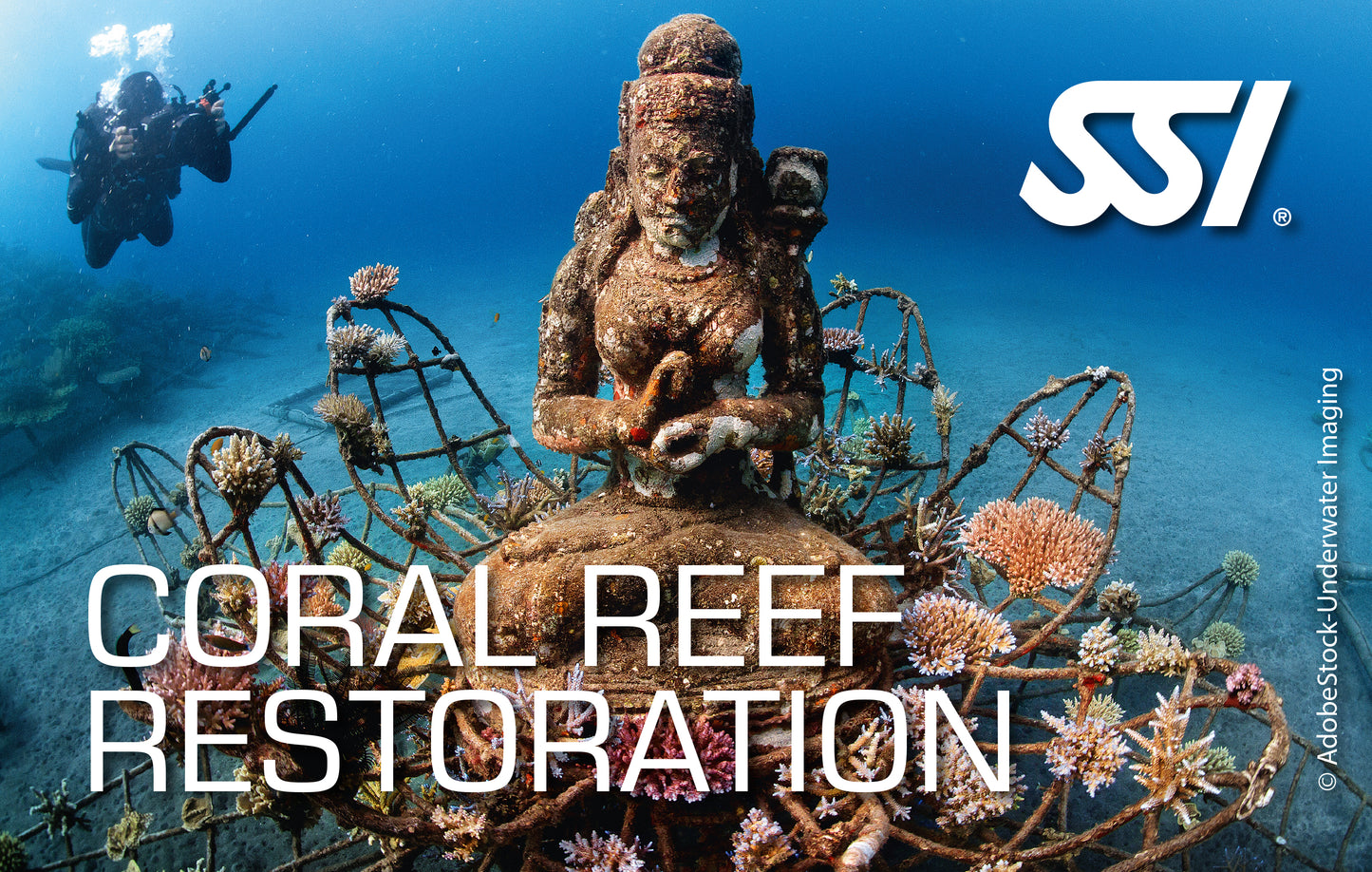 SSI Coral Reef Restoration eLearning