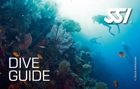 SSI Dive Guide eLearning