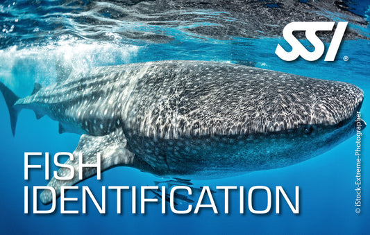 SSI Fish Identification eLearning