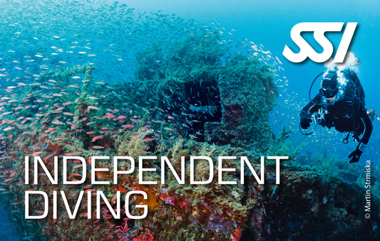 SSI Independent Diving eLearning