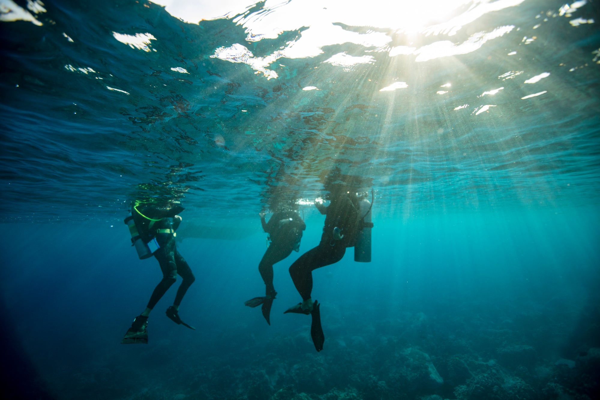 Dorset Diving Services - Get your PADI in Bournemouth & Poole, Dorset