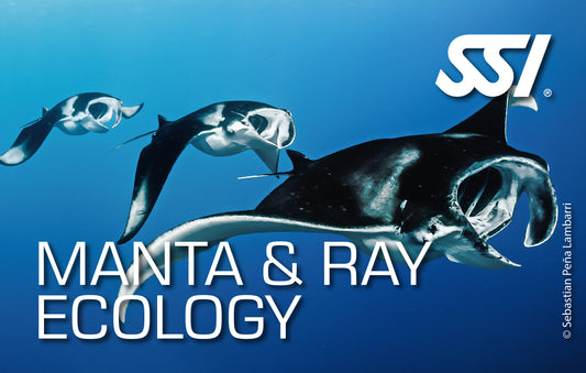 SSI Manta Ray Ecology eLearning