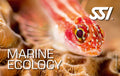 SSI Marine Ecology Online Course