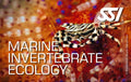 SSI Marine Invertebrate Ecology Course