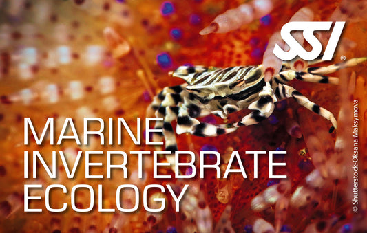 SSI Marine Invertebrate Ecology eLearning