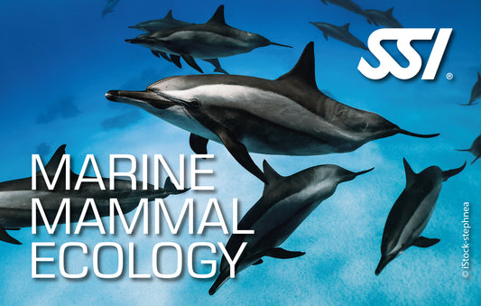 SSI Marine Mammal Ecology eLearning
