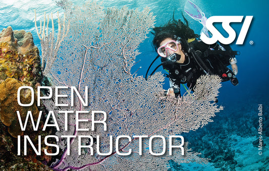 SSI Open Water Instructor eLearning
