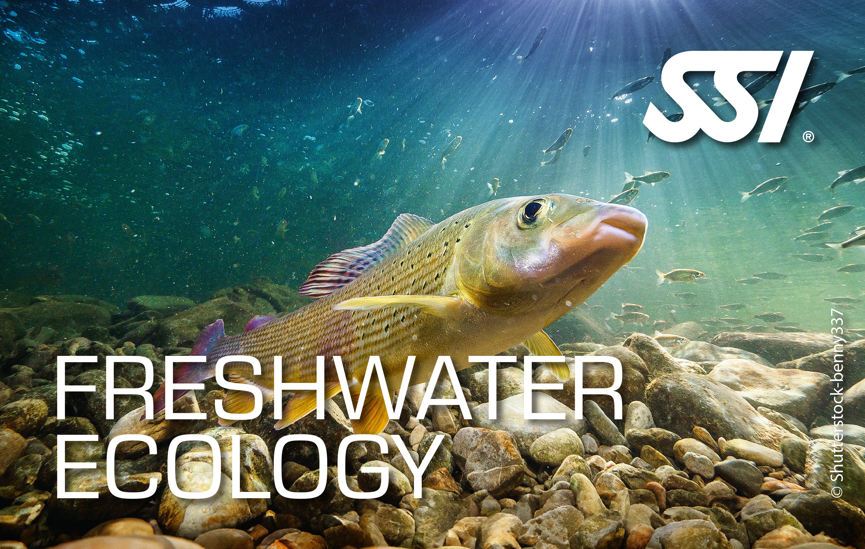 SSI Freshwater Ecology Course