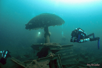 Plymouth June 2025