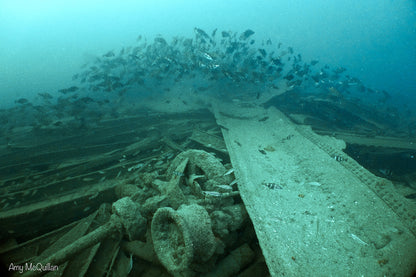 Plymouth June 2025
