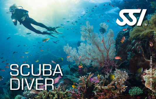 SSI Scuba Diver eLearning