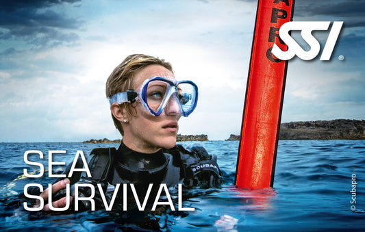 SSI Sea Survival eLearning