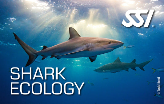 SSI Shark Ecology Online Course