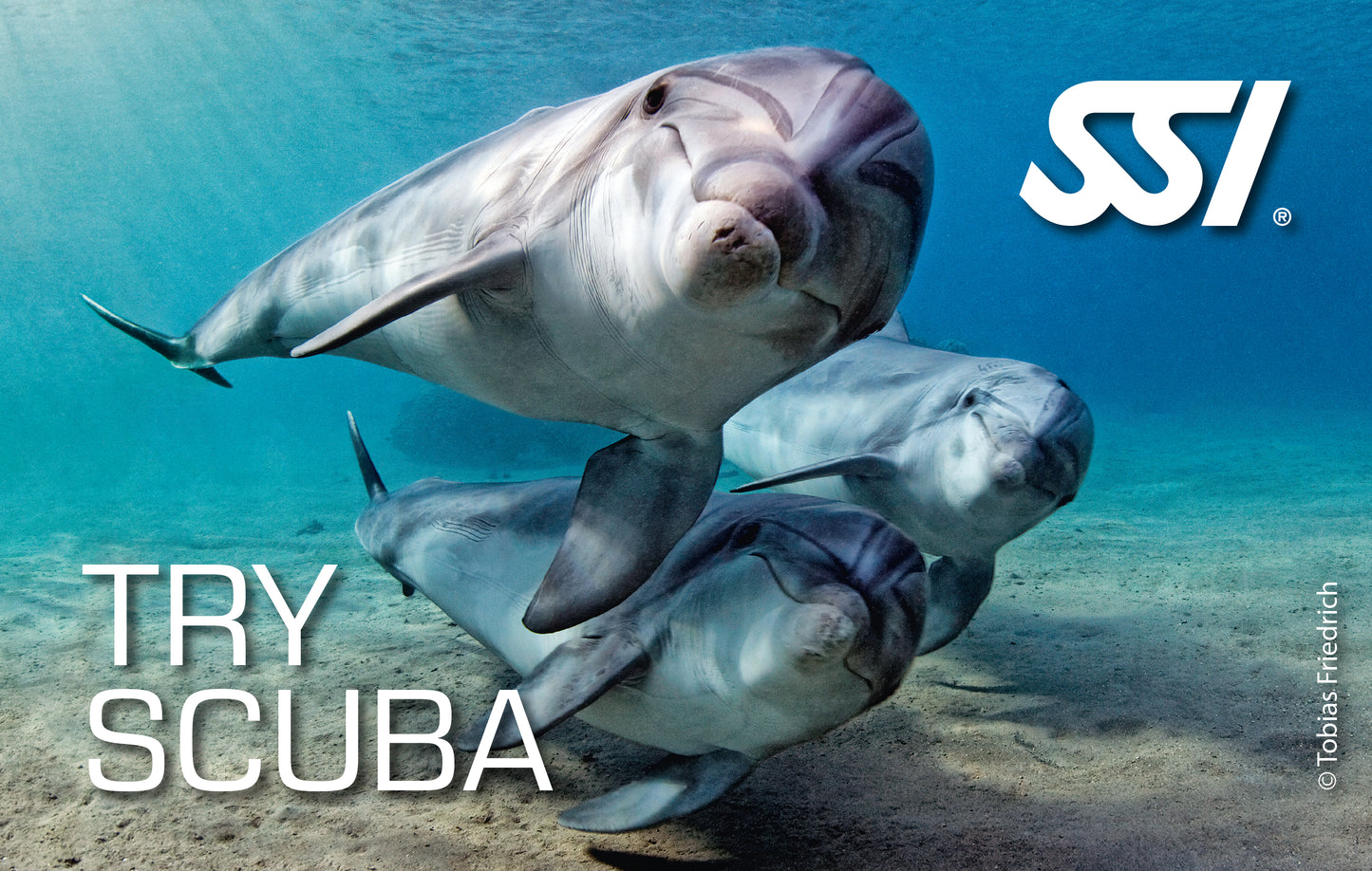 SSI Try Scuba eLearning
