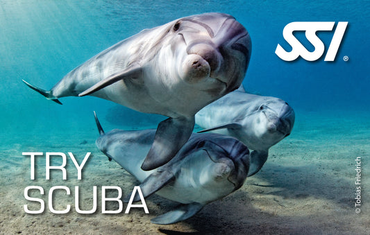 SSI Try Scuba eLearning