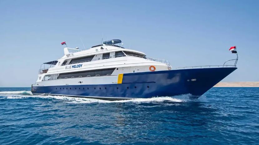 Red Sea Liveabord - Daedalus & St Johns