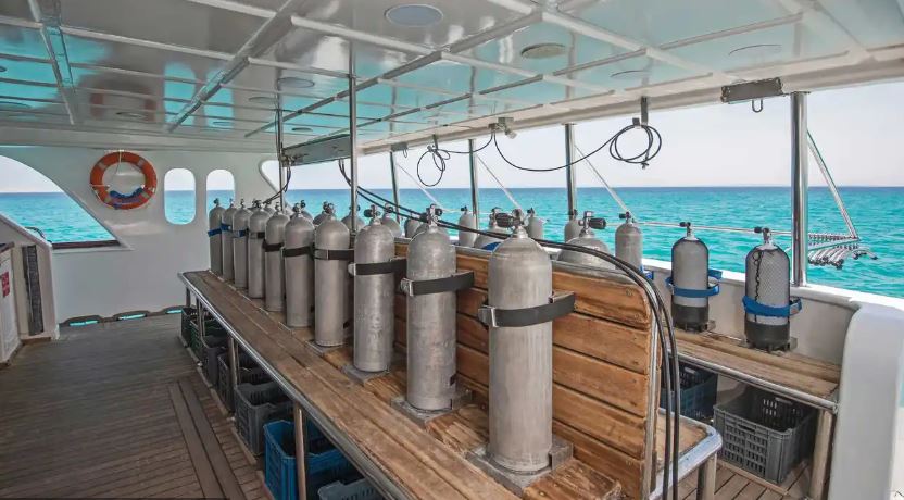 Red Sea Liveabord - Daedalus & St Johns