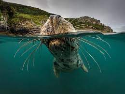 Lundy Camping & Diving 2024