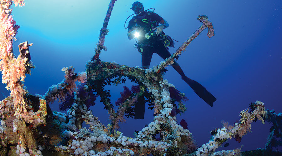 Red Sea Liveabord - Daedalus & St Johns