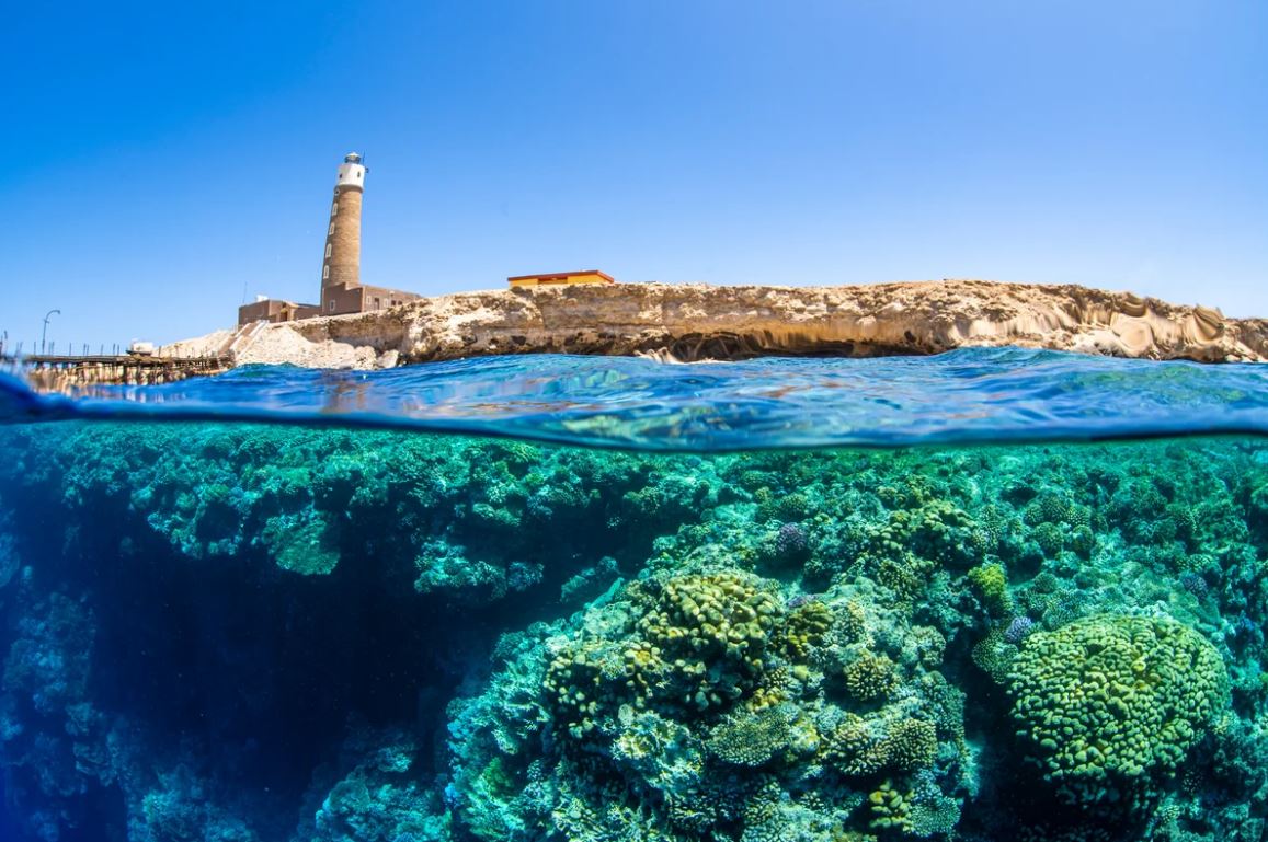 Red Sea Liveabord - Daedalus & St Johns