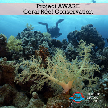 AWARE Coral Reef Conservation