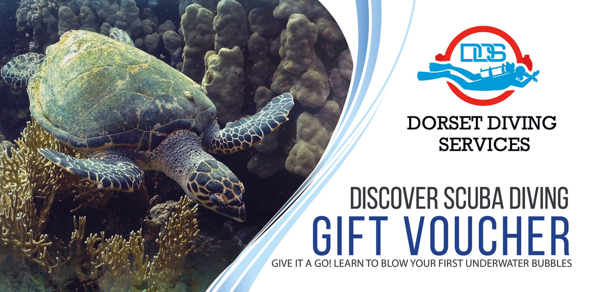PADI Discover Scuba Diving Gift Voucher